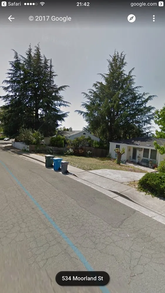 Professional landscape design in Concord, CA - Timberland Tree Care