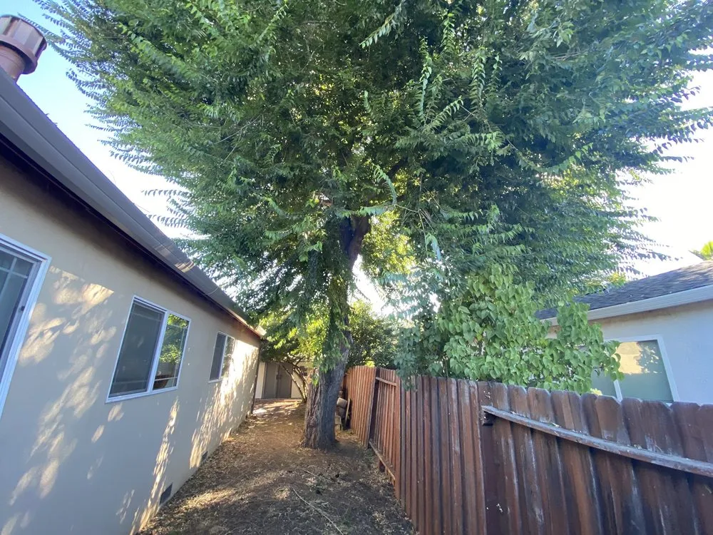 Custom landscape installation for year-round maintenance across Concord, CA - Timberland Tree Care