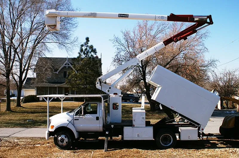 Expert landscape installation for residential properties across Concord, CA - Timberland Tree Care