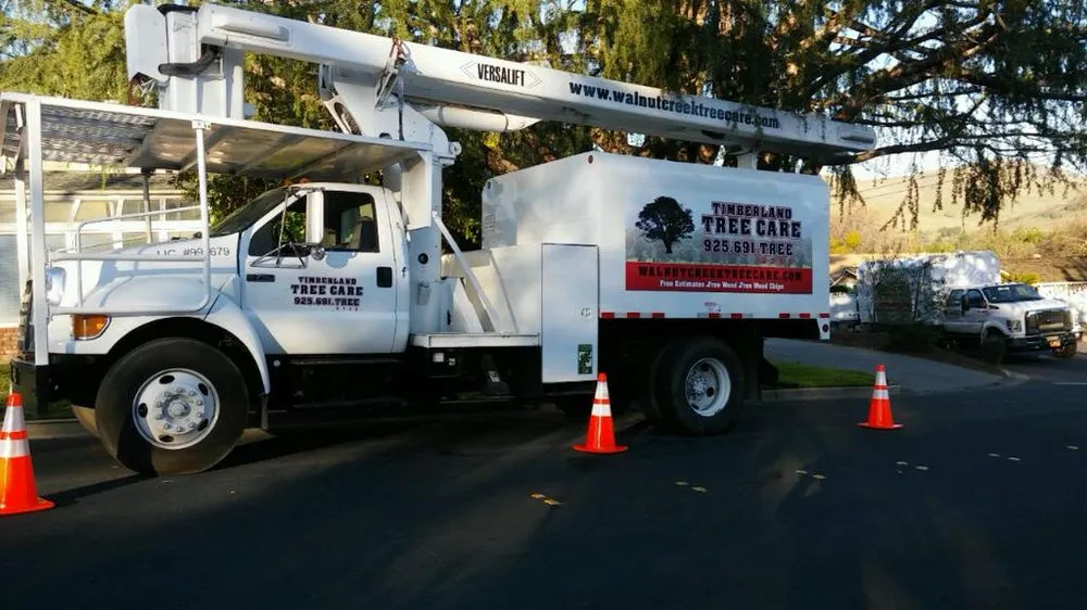 Reliable yard maintenance in Concord, CA by Timberland Tree Care