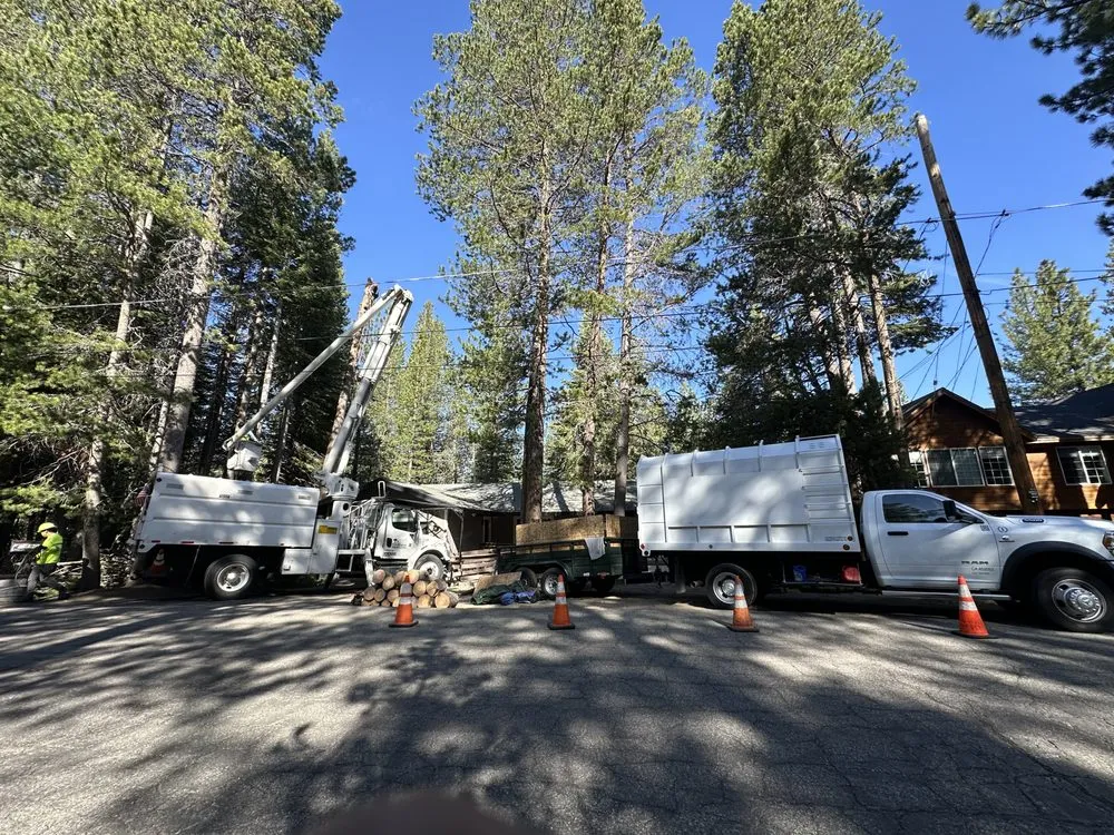 Top-rated outdoor landscaping for beautiful yards across Perris, CA - Timberland Tree Service