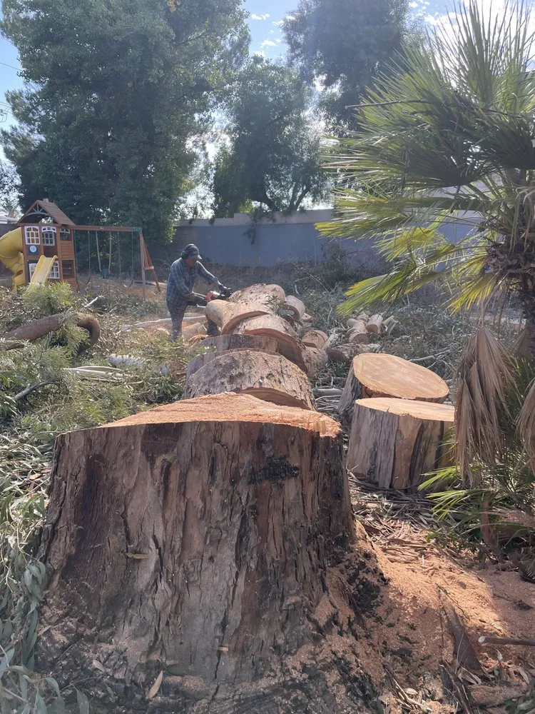 Top-rated landscaping services in Perris, CA - Timberland Tree Service