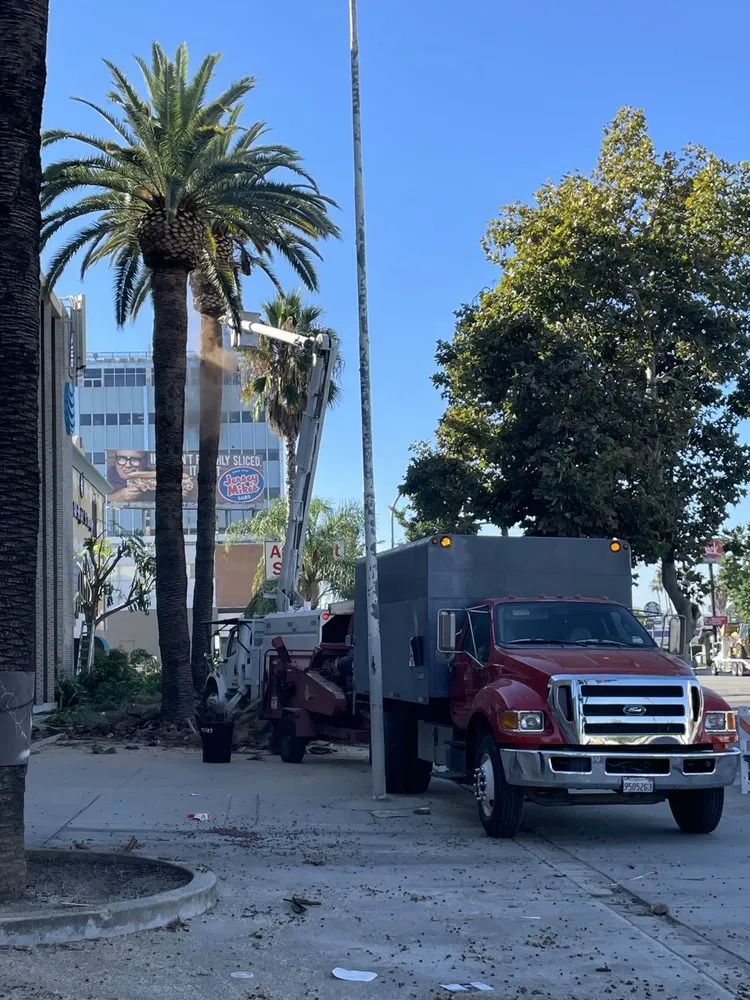 Professional landscaping services in Perris, CA by Timberland Tree Service