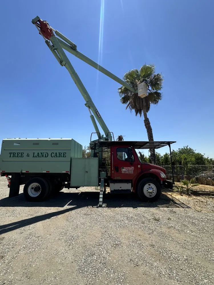 Top-rated garden landscaping in Perris, CA by Timberland Tree Service