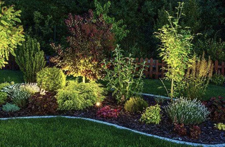 Custom yard maintenance experts serving Denver, CO - Timberline Gardens Landscaping