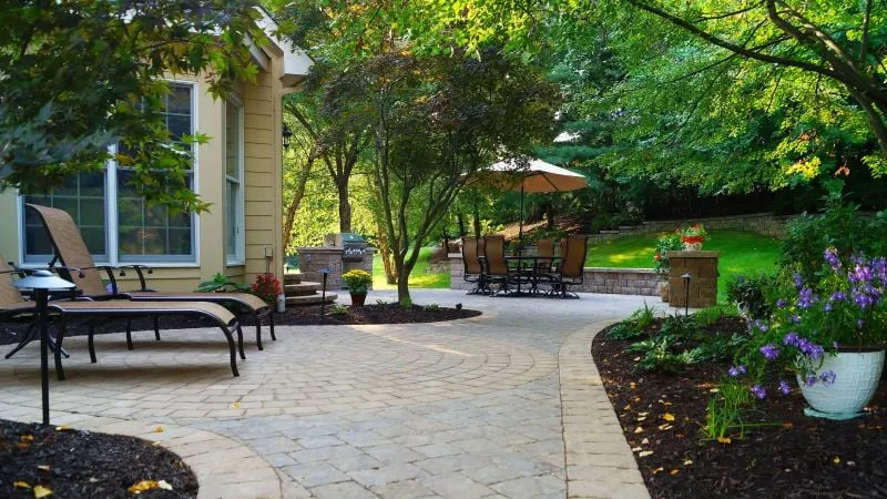 Trusted yard cleanup service in Webster Groves, MO - Timberline Landscapes