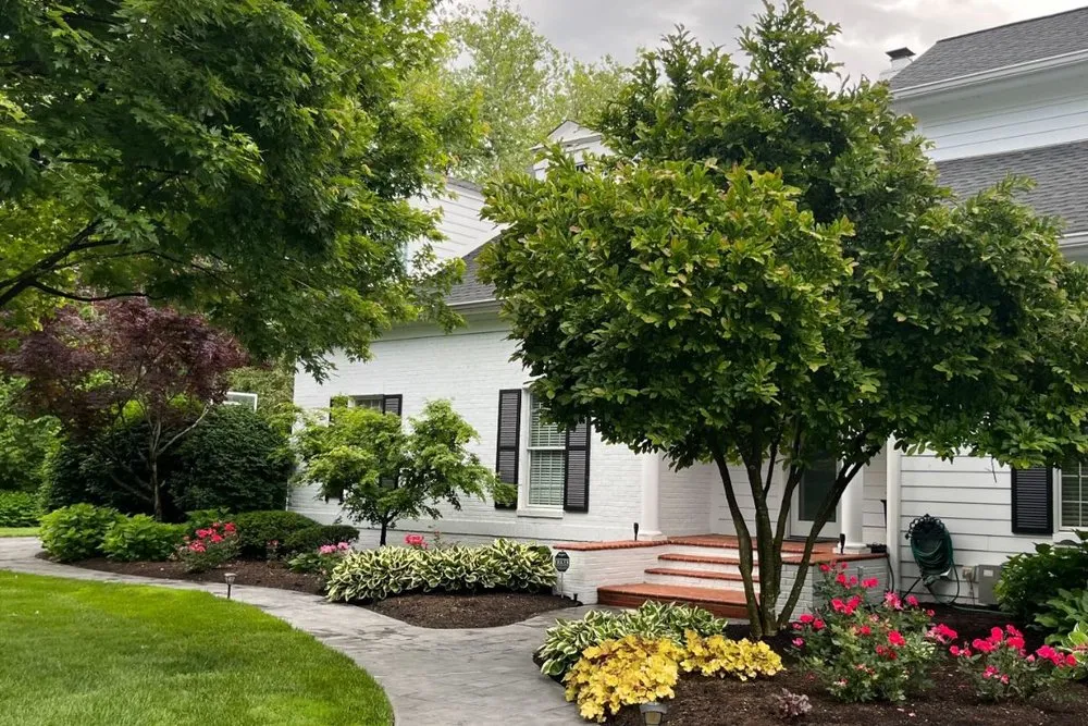 Local landscaping services in Webster Groves, MO - Timberline Landscapes