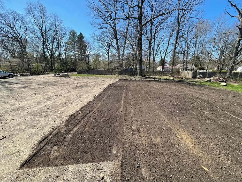 Expert yard cleanup service in Rockford, MI by Timberline Landscaping & Management