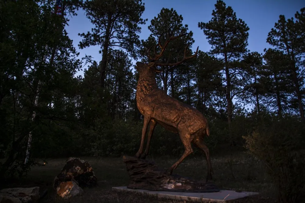Expert yard maintenance in Colorado Springs, CO by Timberline Landscaping