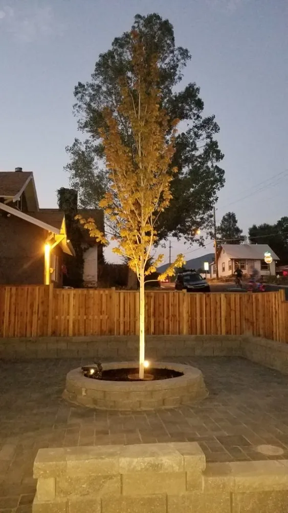 Trusted yard maintenance for beautiful yards across Flagstaff, AZ - Timberline Landscaping Services