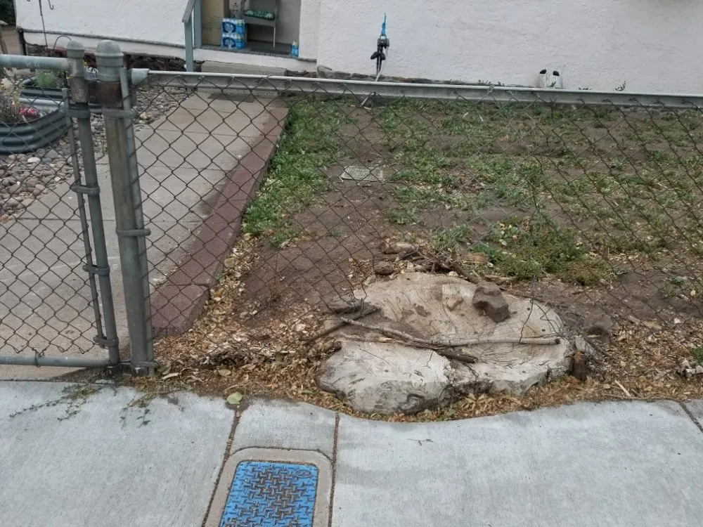 Local landscaping services experts serving Flagstaff, AZ - Timberline Landscaping Services