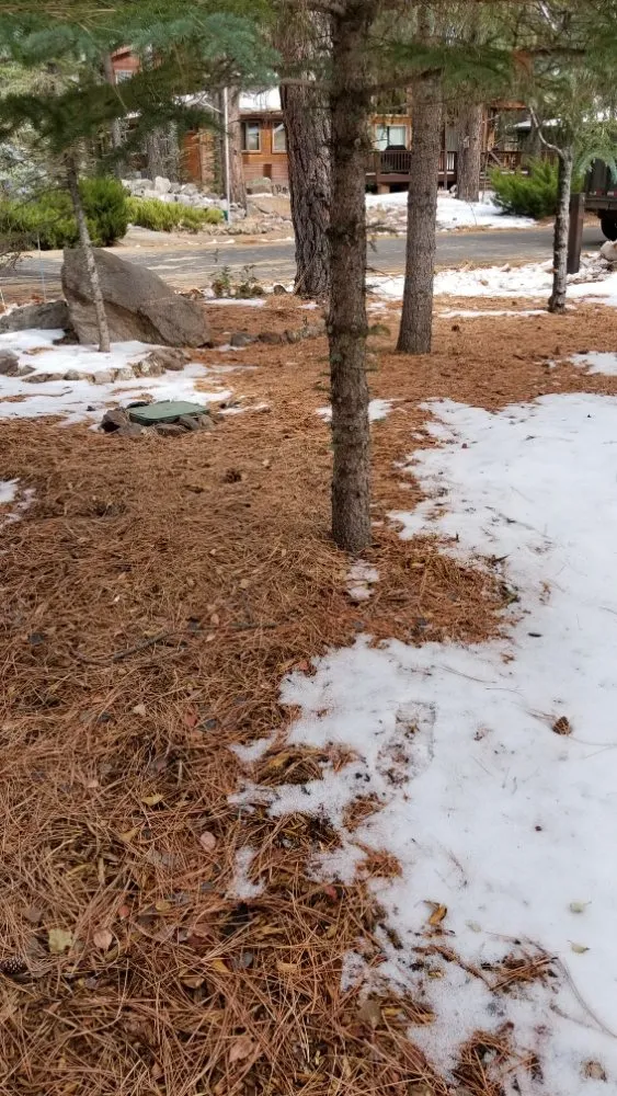 Professional outdoor landscaping in Flagstaff, AZ - Timberline Landscaping Services