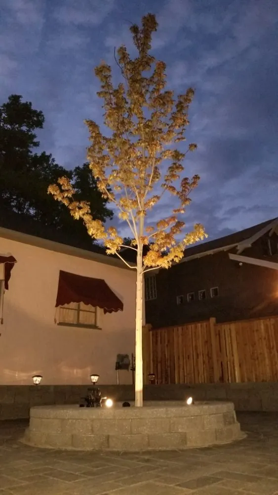 Local yard cleanup service for residential properties across Flagstaff, AZ - Timberline Landscaping Services