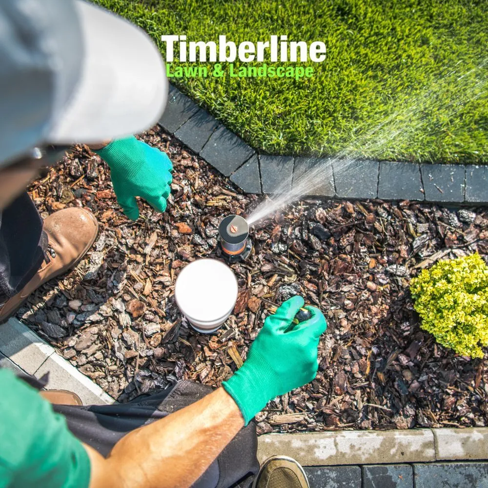 Professional yard maintenance with custom design in Dallas, TX by Timberline Lawn & Landscape