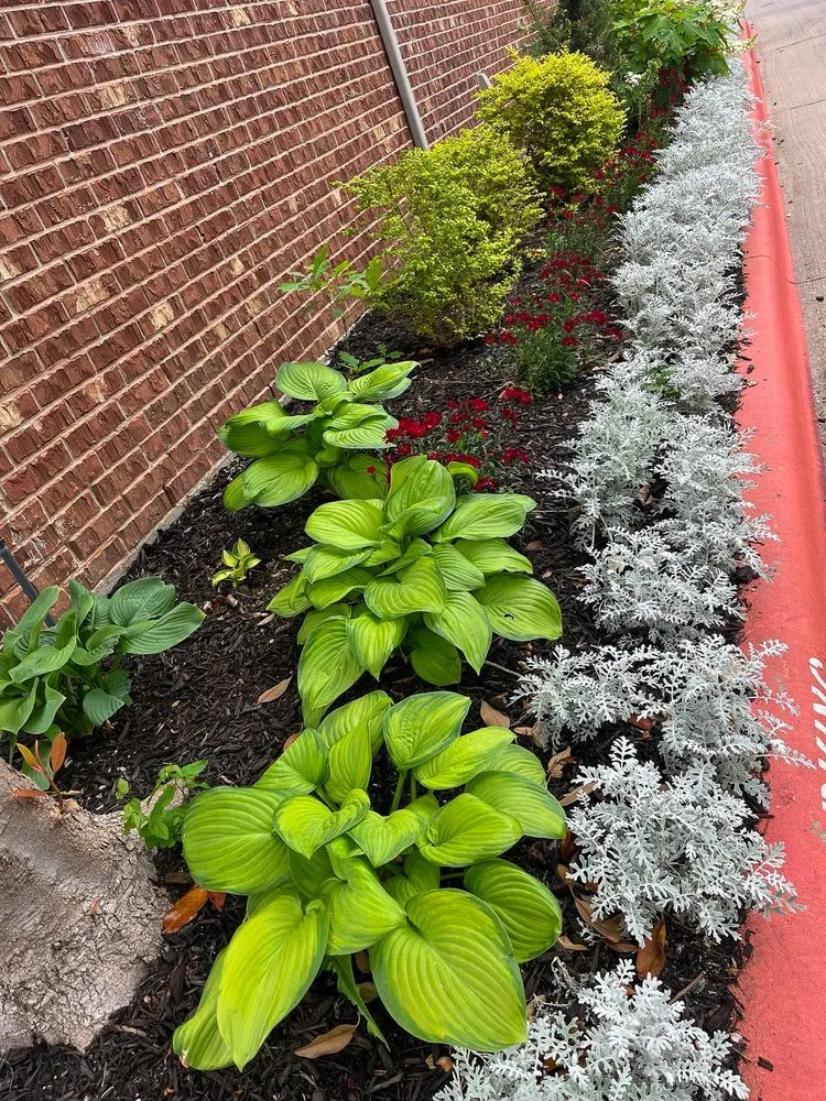 Expert yard maintenance for outdoor upgrades in Dallas, TX by Timberline Lawn & Landscape