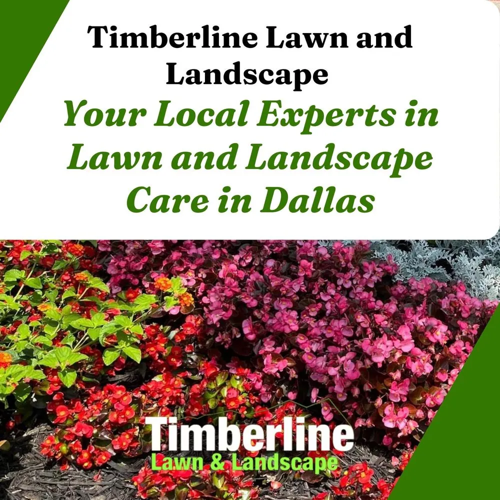 Trusted landscape design experts serving Dallas, TX - Timberline Lawn & Landscape