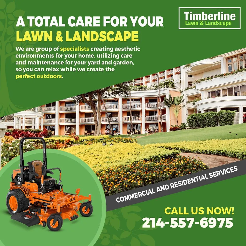 Affordable yard cleanup service in Dallas, TX by Timberline Lawn & Landscape