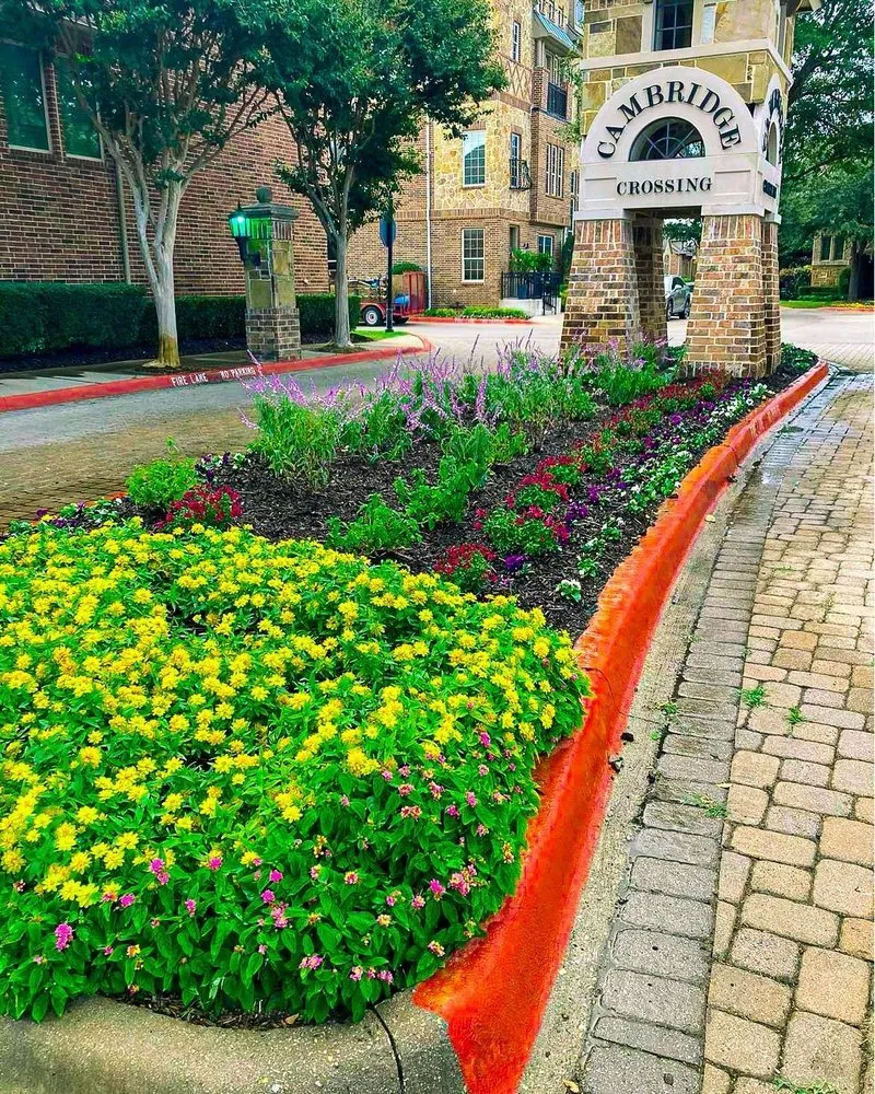 Top-rated yard cleanup service for year-round maintenance across Dallas, TX - Timberline Lawn & Landscape