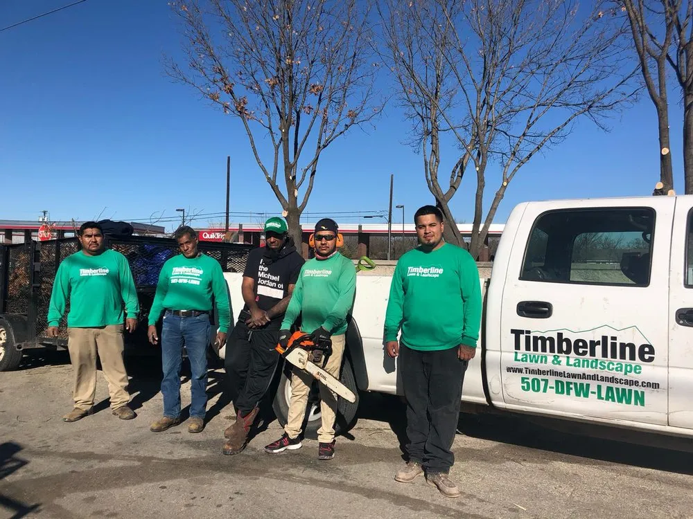 Affordable landscape design in Dallas, TX - Timberline Lawn & Landscape