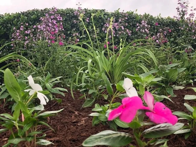 Professional residential landscaping with custom design in Dallas, TX by Timberline Lawn & Landscape