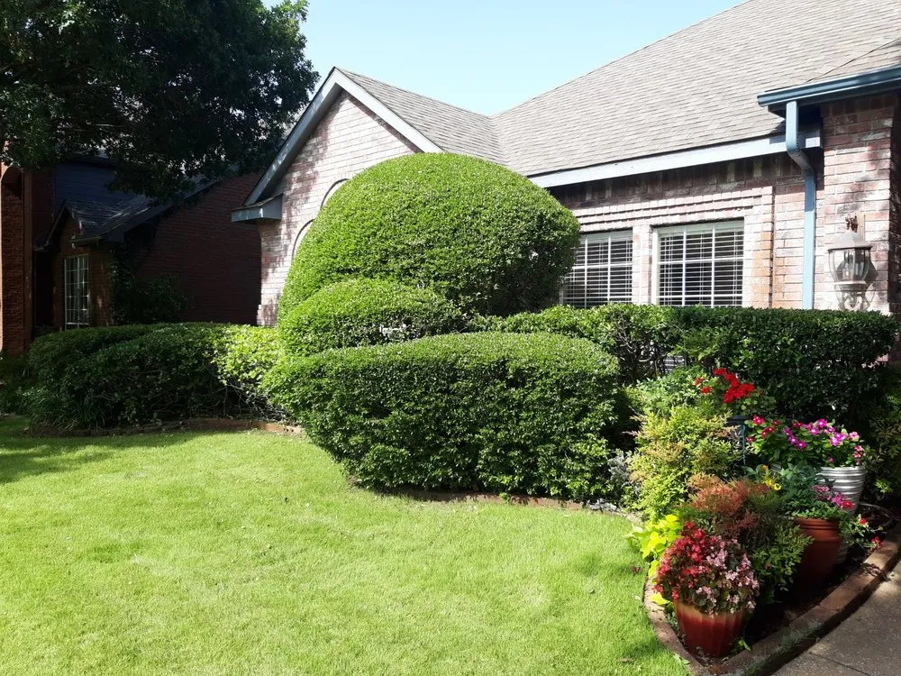 Top-rated lawn care service for outdoor upgrades in Dallas, TX by Timberline Lawn & Landscape