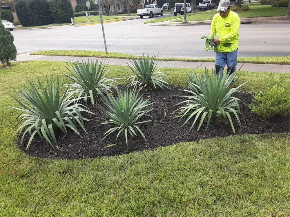 Affordable residential landscaping in Dallas, TX - Timberline Lawn & Landscape