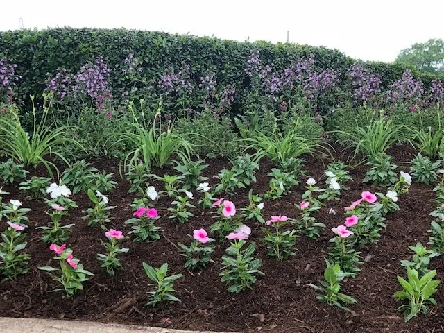 Affordable landscape installation experts serving Dallas, TX - Timberline Lawn & Landscape