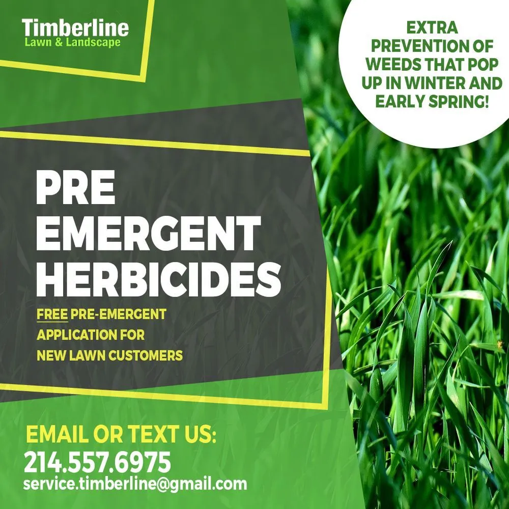 Expert landscape design experts serving Dallas, TX - Timberline Lawn & Landscape