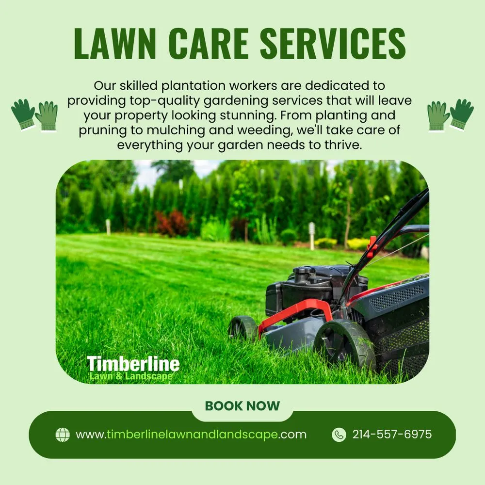 Top-rated outdoor landscaping in Dallas, TX - Timberline Lawn & Landscape