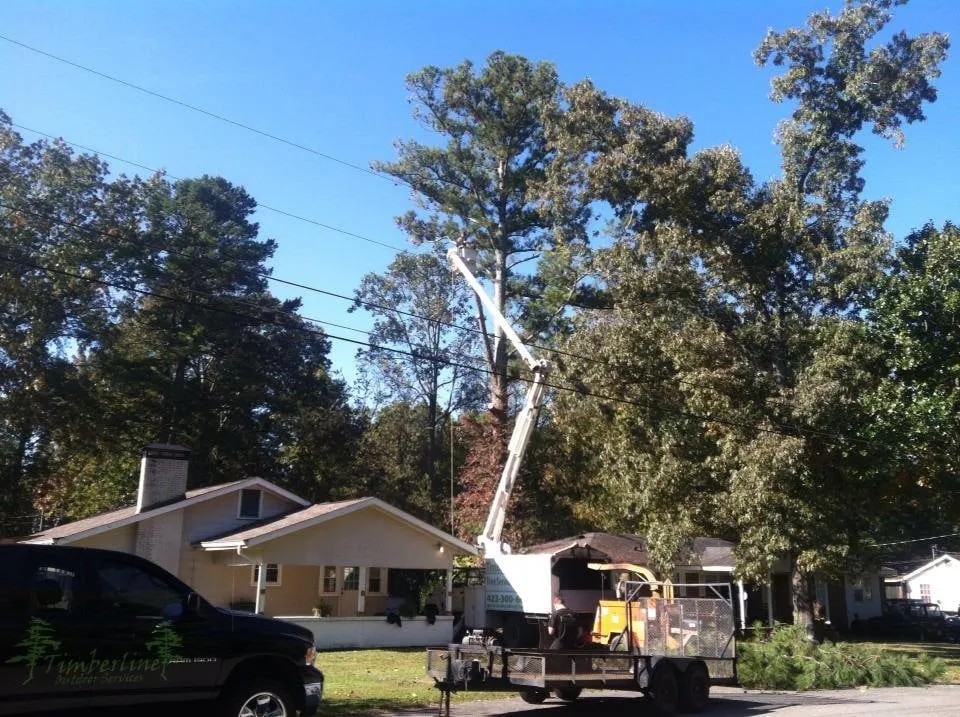 Trusted yard cleanup service experts serving Hixson, TN - Timberline Outdoor Services