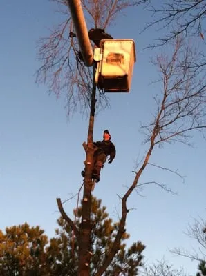Timberline Outdoor Services