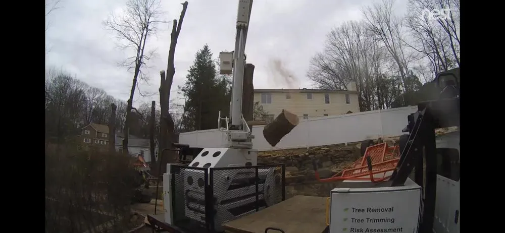 Professional outdoor landscaping in Nanuet, NY by Timberline Tree & Landscape