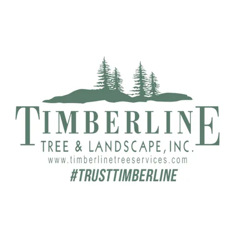 Expert outdoor landscaping in Nanuet, NY by Timberline Tree & Landscape
