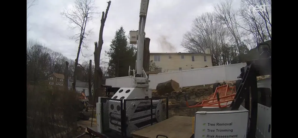 Affordable lawn mowing service near you in Nanuet, NY by Timberline Tree & Landscape