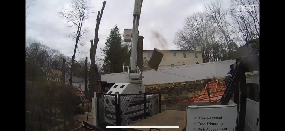 Professional yard maintenance for homes across Nanuet, NY - Timberline Tree & Landscape