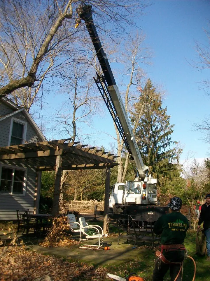 Expert landscape installation for year-round maintenance across Nanuet, NY - Timberline Tree & Landscape
