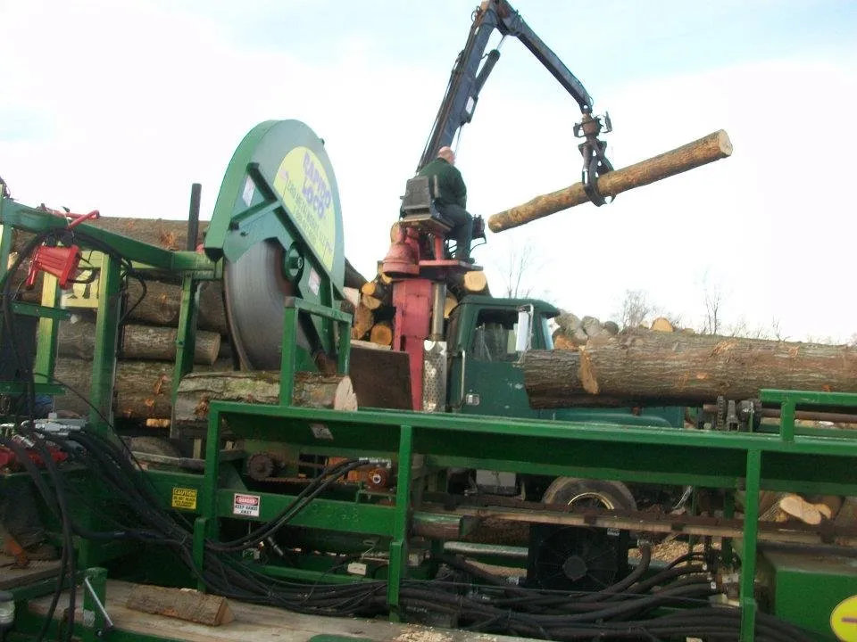 Local yard cleanup service experts serving Nanuet, NY - Timberline Tree & Landscape