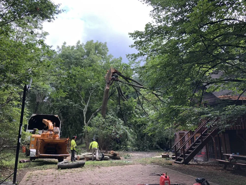 Reliable lawn care service experts serving Nanuet, NY - Timberline Tree & Landscape