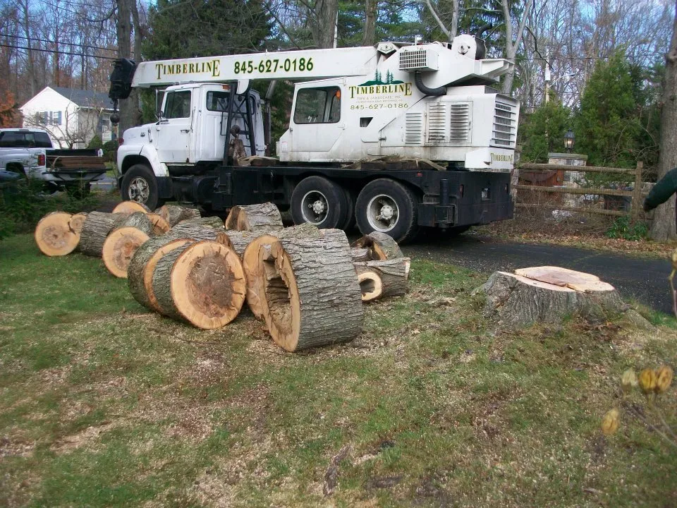 Custom residential landscaping near you across Nanuet, NY - Timberline Tree & Landscape