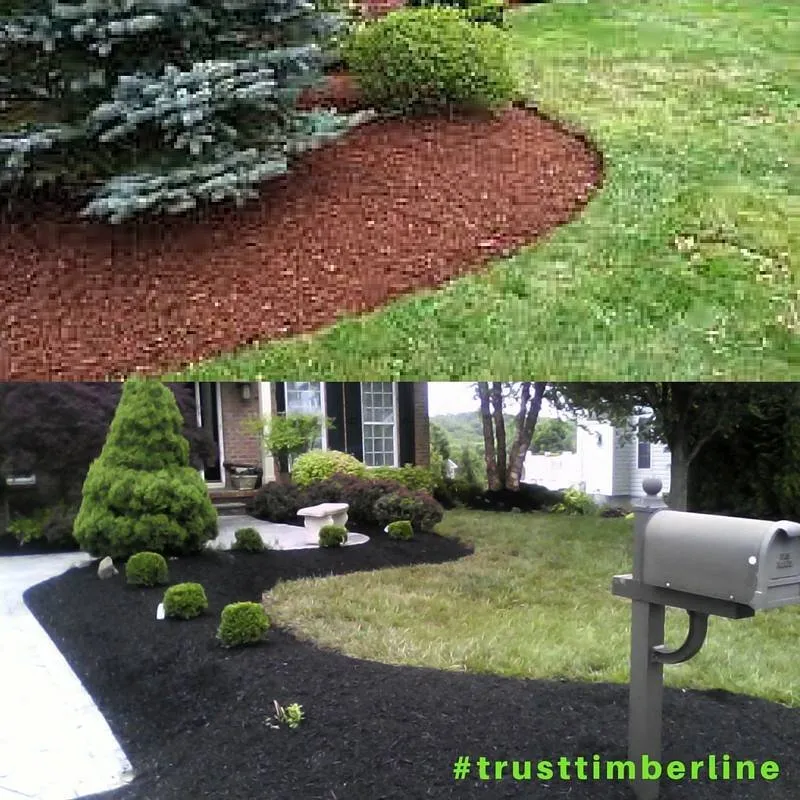 Top-rated yard maintenance for year-round maintenance across Nanuet, NY - Timberline Tree & Landscape