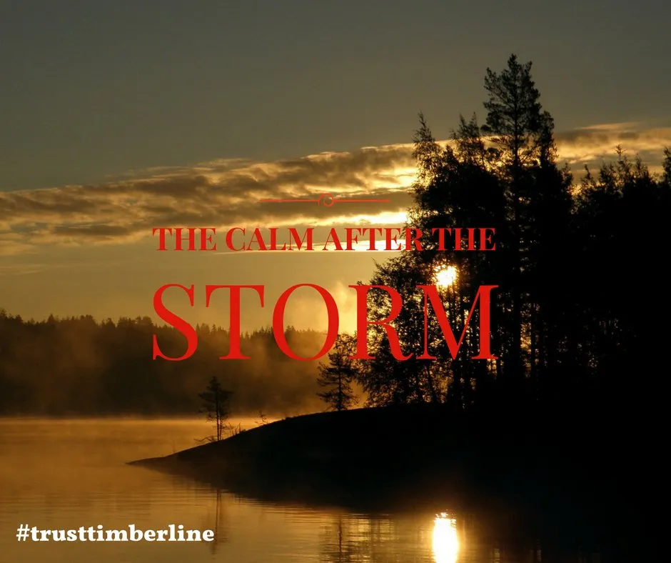 Custom residential landscaping with custom design across Nanuet, NY - Timberline Tree & Landscape