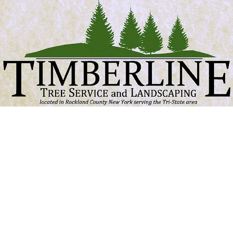 Custom residential landscaping for beautiful yards across Nanuet, NY - Timberline Tree & Landscape