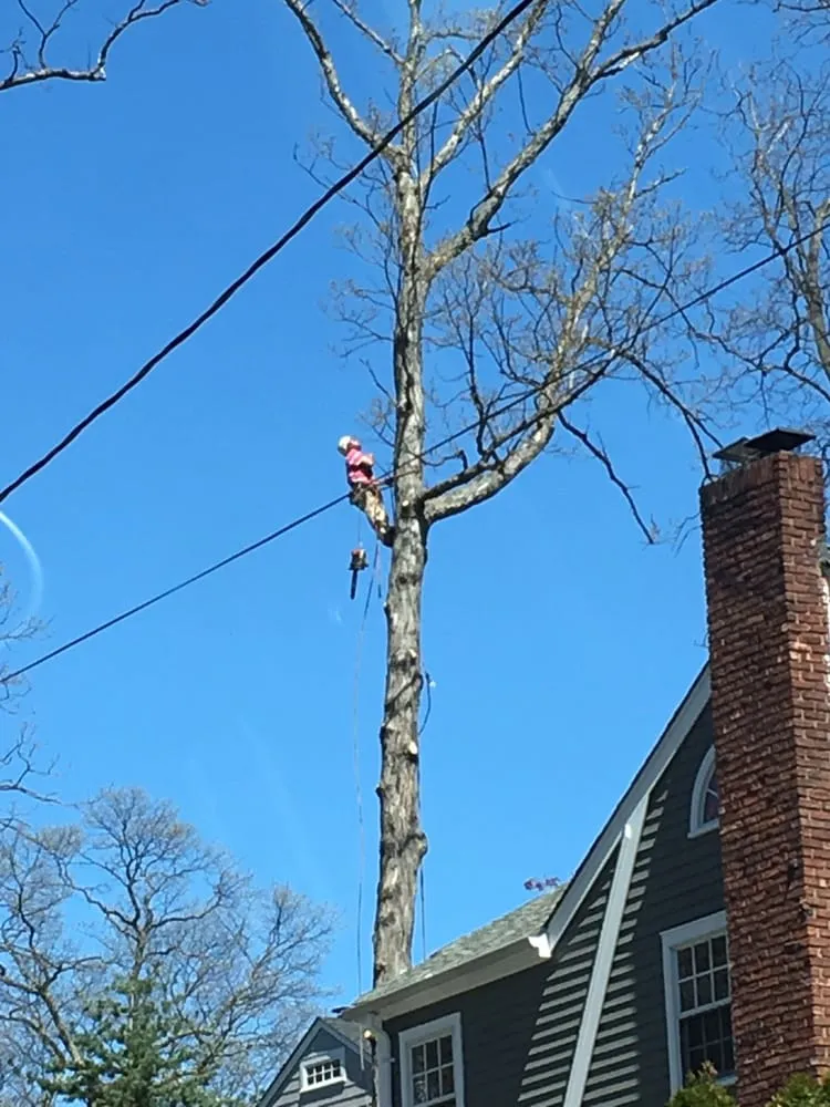 Affordable yard maintenance experts serving Nanuet, NY - Timberline Tree & Landscape