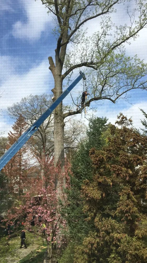 Top-rated outdoor landscaping experts serving Nanuet, NY - Timberline Tree & Landscape