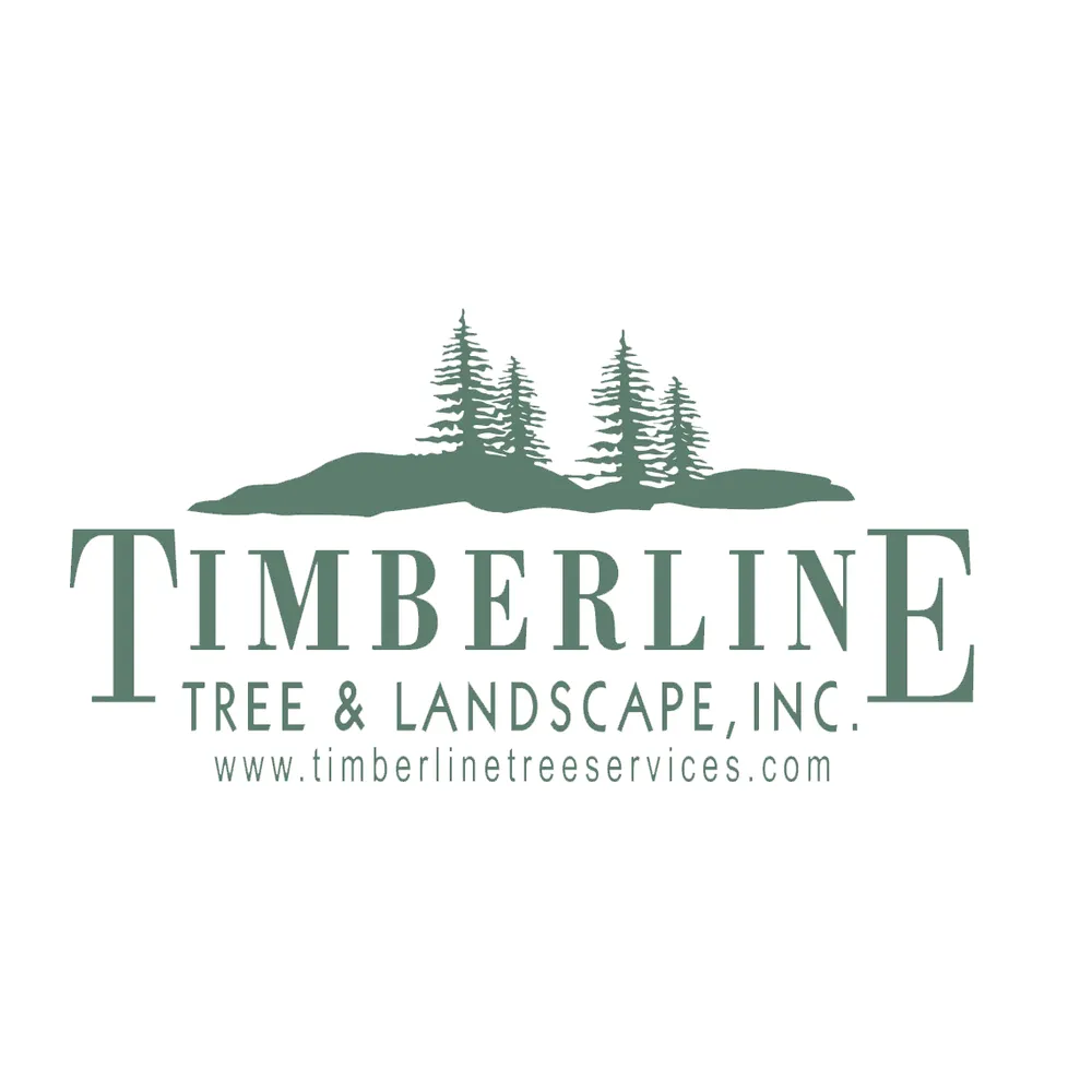 Top-rated garden landscaping experts serving Nanuet, NY - Timberline Tree & Landscape