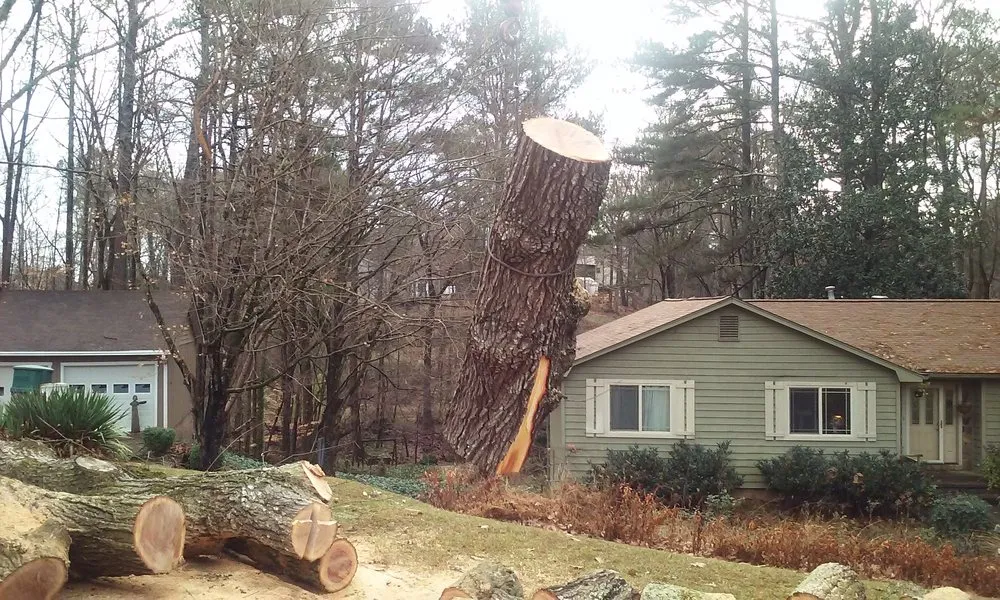 Expert yard maintenance in Kennesaw, GA by Timberline Tree Service & Landscaping