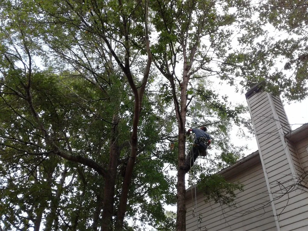 Expert lawn mowing service for outdoor upgrades in Kennesaw, GA by Timberline Tree Service & Landscaping