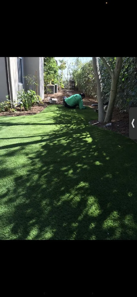 Affordable yard cleanup service in Los Angeles, CA - Timbermen Tree service & Landcaping