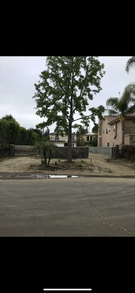 Affordable lawn mowing service in Los Angeles, CA by Timbermen Tree service & Landcaping