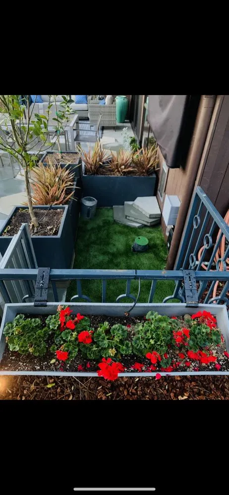 Expert landscape installation for year-round maintenance across Los Angeles, CA - Timbermen Tree service & Landcaping